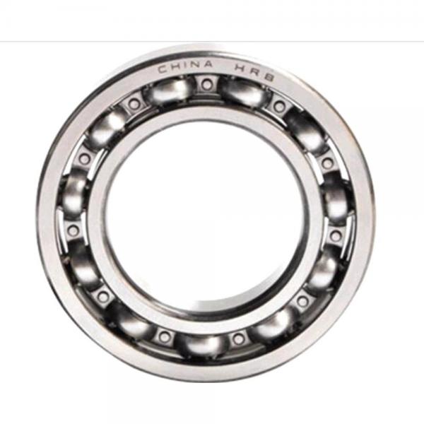 China Lowest Price Cylindrical Roller Bearing N /Nu/Nj 300series #1 image